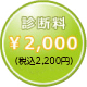 診断料2,000円税込み